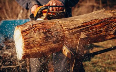 La problemática de las poda de árboles en Chile